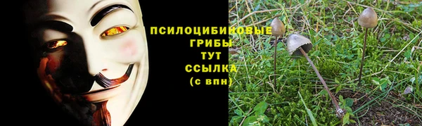 сатива Алзамай